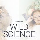 Wild Science podcast Podster