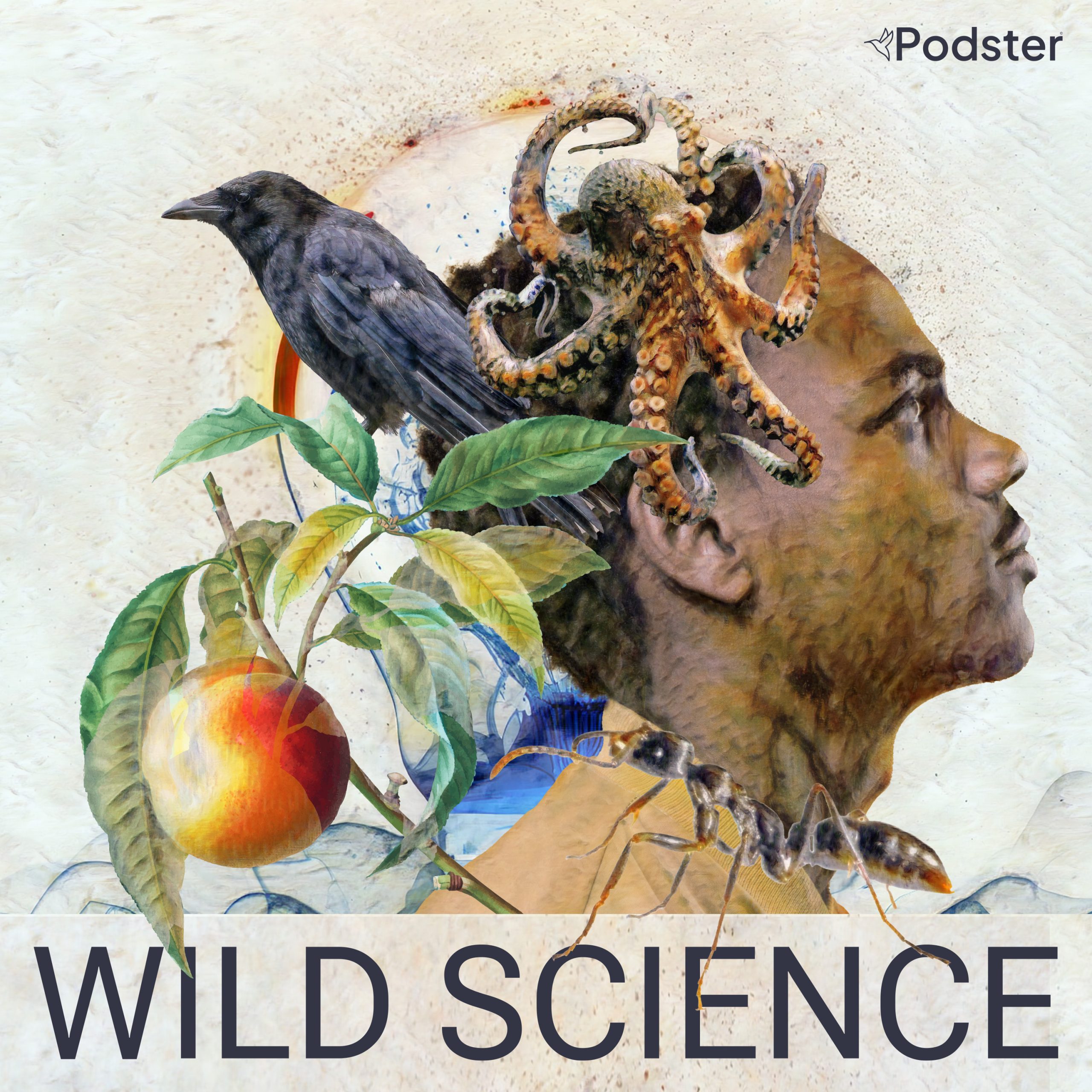 Wild Science podcast